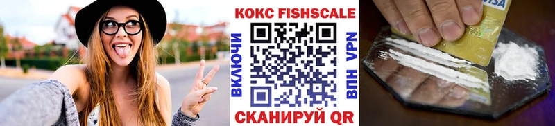 цены   Александровск  Кокаин FishScale 