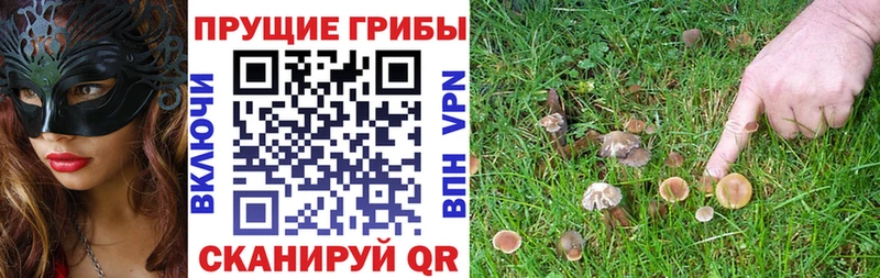 Псилоцибиновые грибы MAGIC MUSHROOMS  Александровск 