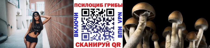 Псилоцибиновые грибы мицелий Александровск