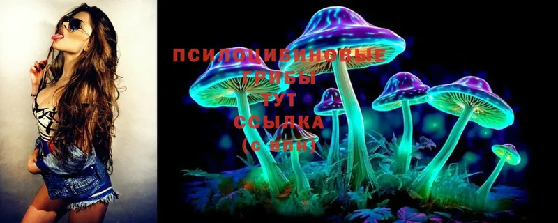 Галлюциногенные грибы Cubensis  hydra зеркало  Александровск 