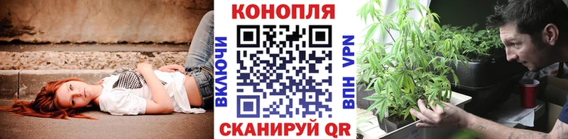 что такое наркотик  shop официальный сайт  кракен зеркало  Бошки марихуана OG Kush  Александровск 